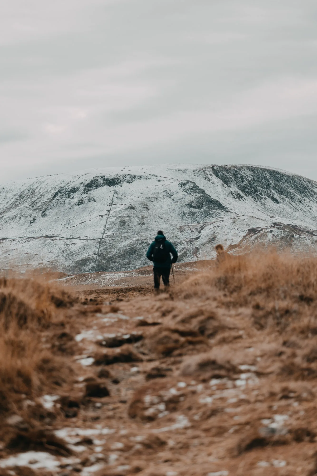 Cregennan Lakes in winter: landscape photography at Eryri National Park, Wales, photo 5